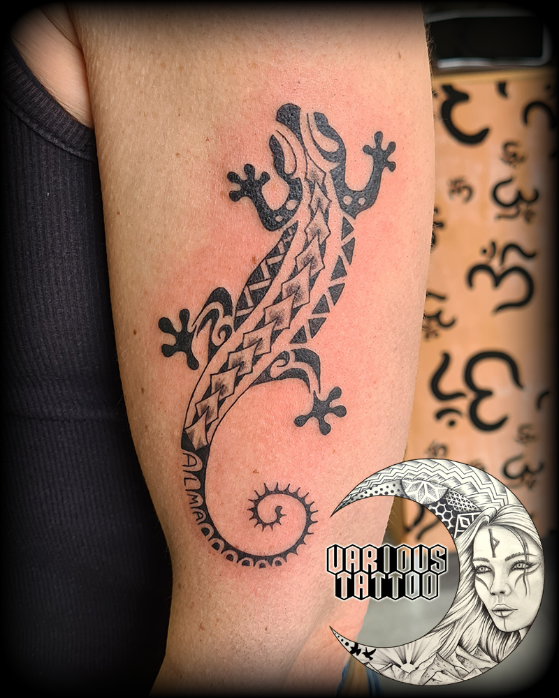 Salamandre polynésien